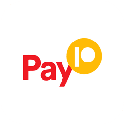 Pay10 logo
